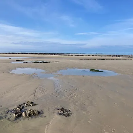 La Marine D'opale