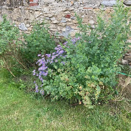 Апартаменты La Marine D'opale Амблетёзе