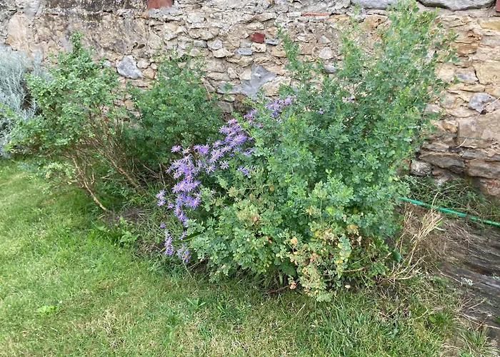 Appartement La Marine D'opale Ambleteuse